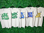 Star Team School Spirit (Customizable Tee or Sweatshirt)