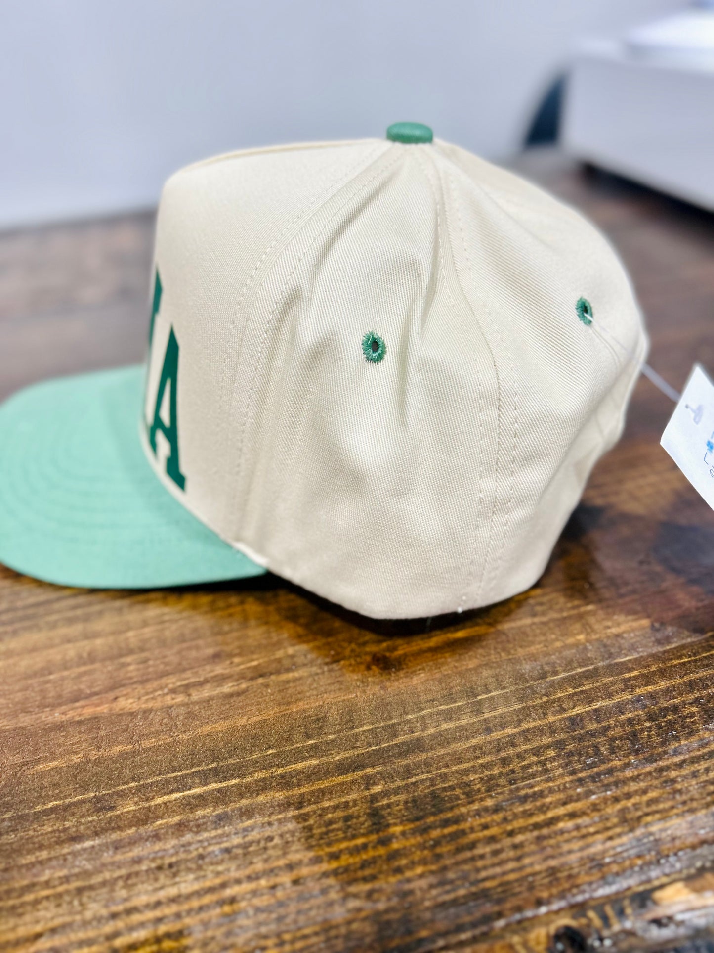 Alma Varsity Twill Hat in Sage