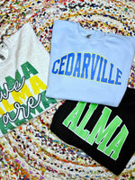Varsity Block Sweatshirt (Multiple Schools)