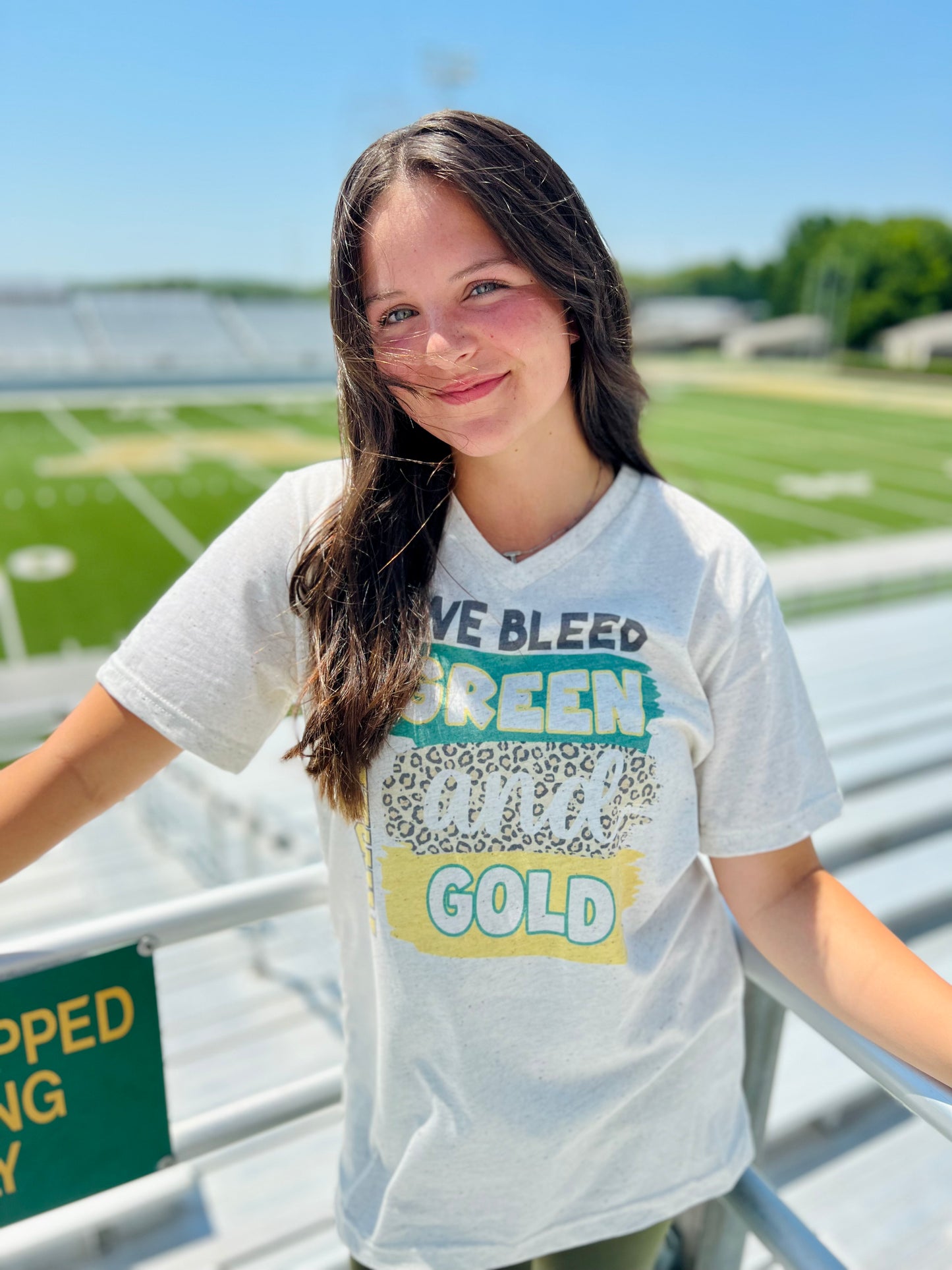 "We Bleed" School Colors V-Neck Tee on Oatmeal (Customizable)