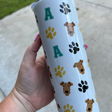 Alma School Spirit 20 oz Tumbler