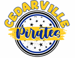 Star School Spirit Tee (Multiple Options)