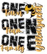 One Family School Spirit Raglan Tee(Any Mascot)