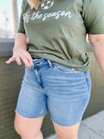 Vervet High Rise Denim Shorts