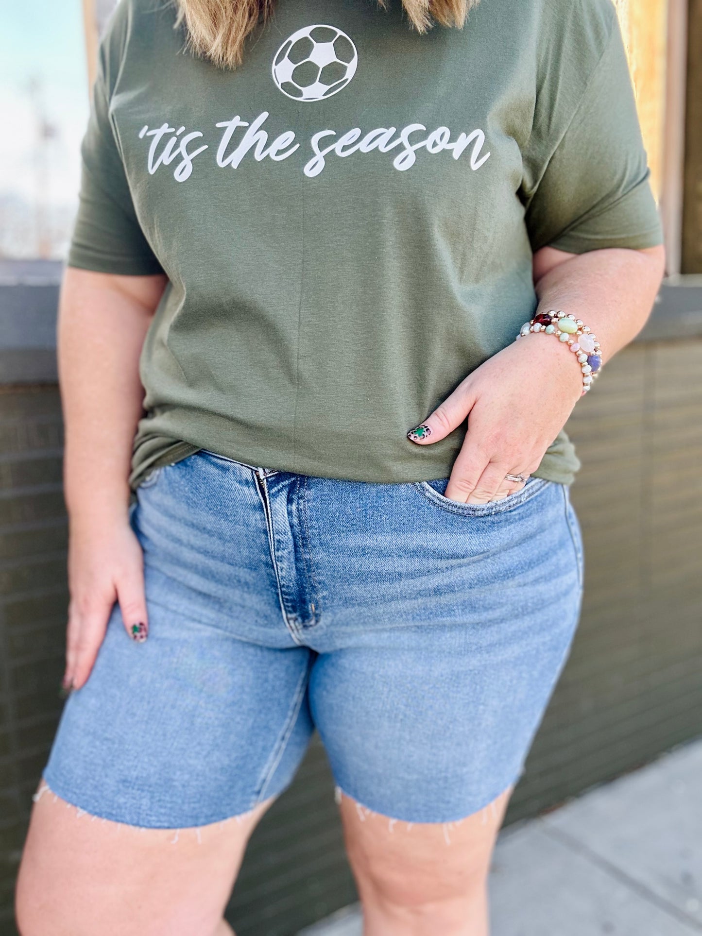 Vervet High Rise Denim Shorts