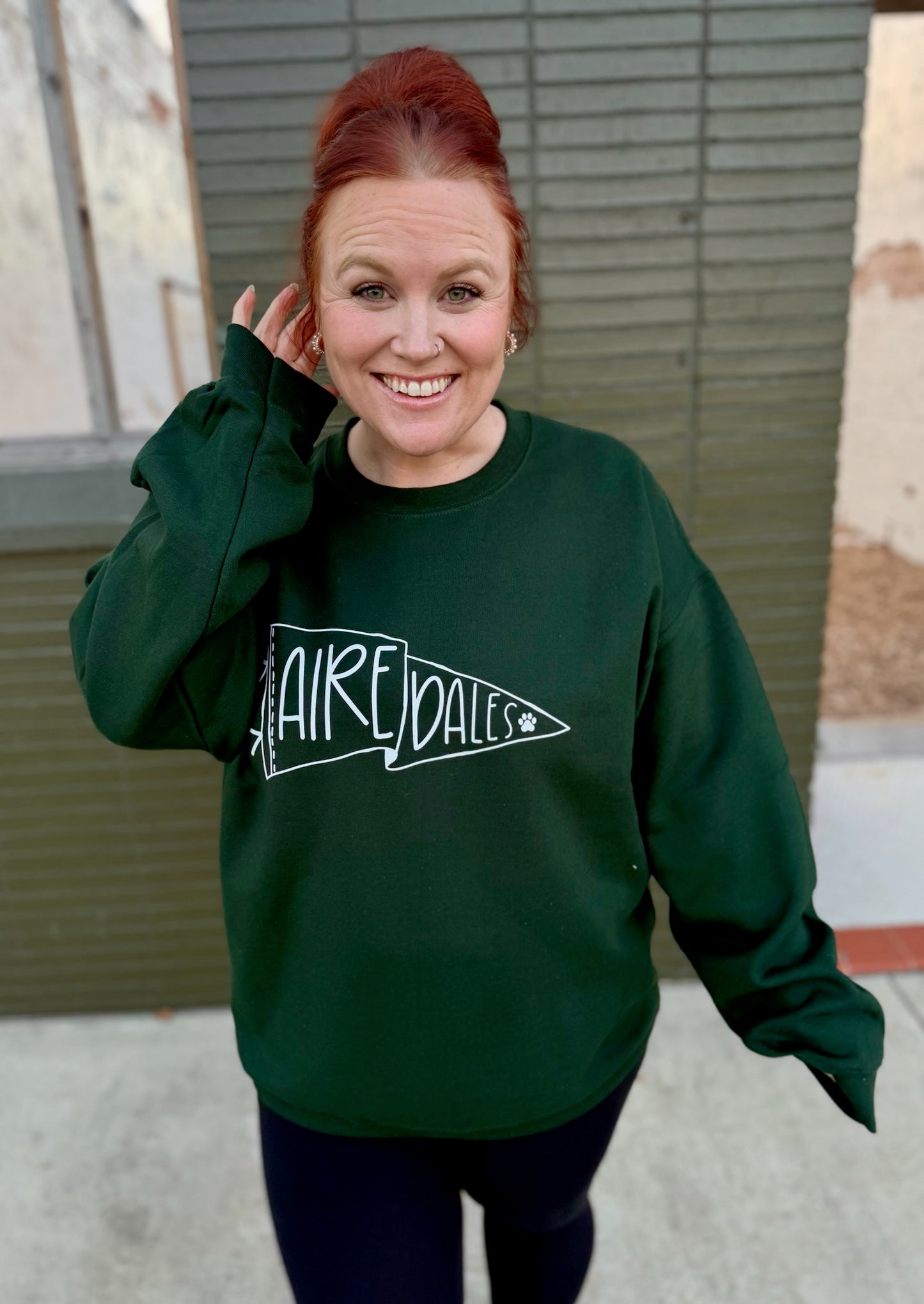 **DOORBUSTER** Airedale Flag Sweatshirt