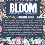 March Blue Rose Babe Box: Bloom Where You're Planted (Available until 3/8)