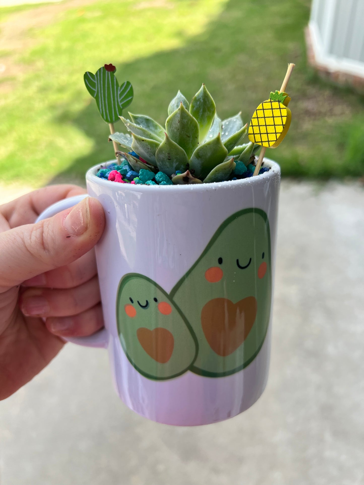 Teacher Appreciation Succulent