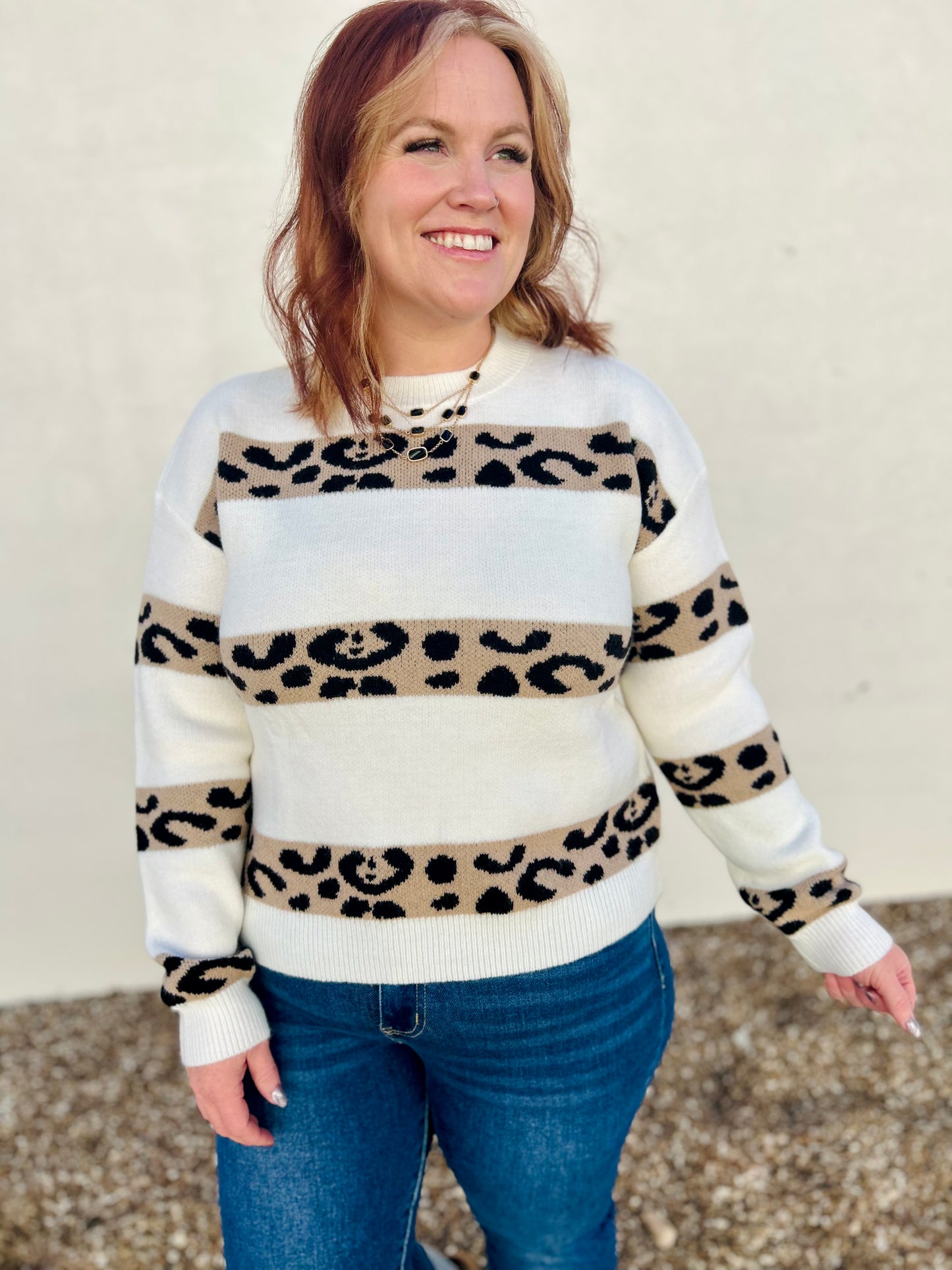 Lena Leopard Stripe Sweater