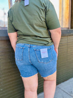 Vervet High Rise Denim Shorts