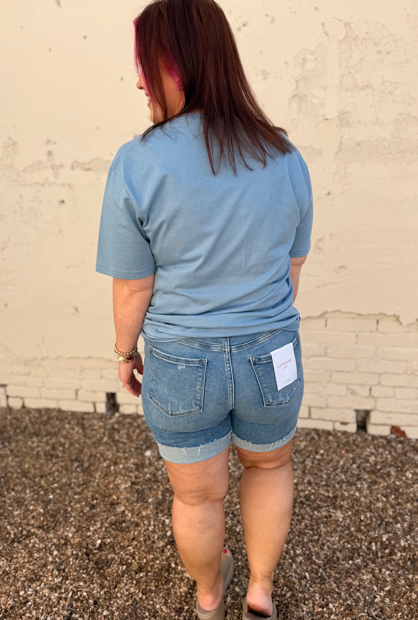 Vervet High Rise Denim Shorts