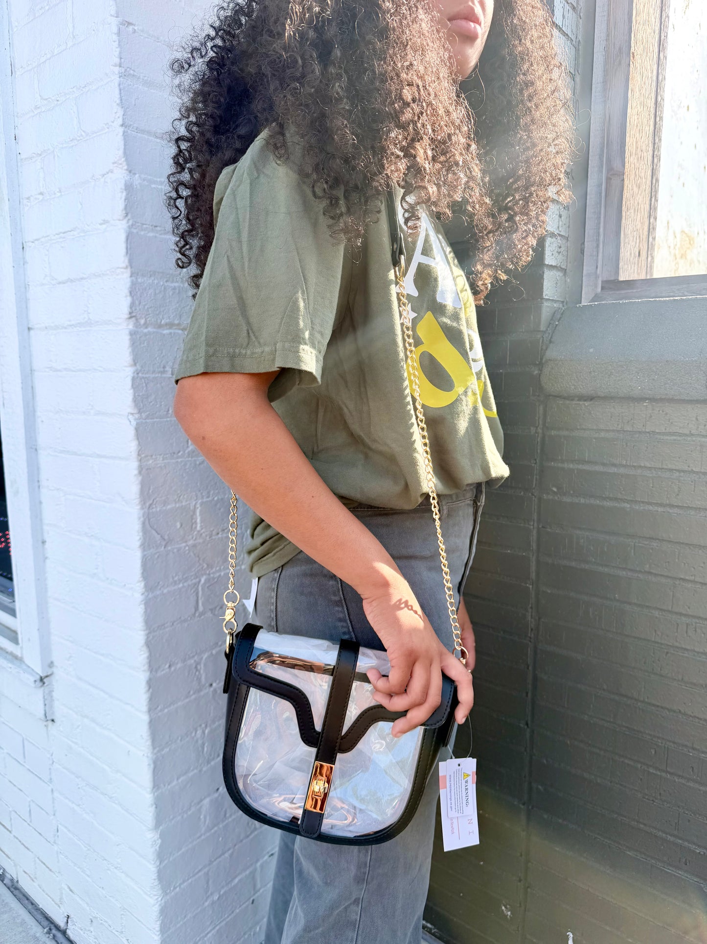 Clear Stadium Purse (Multiple Colors)