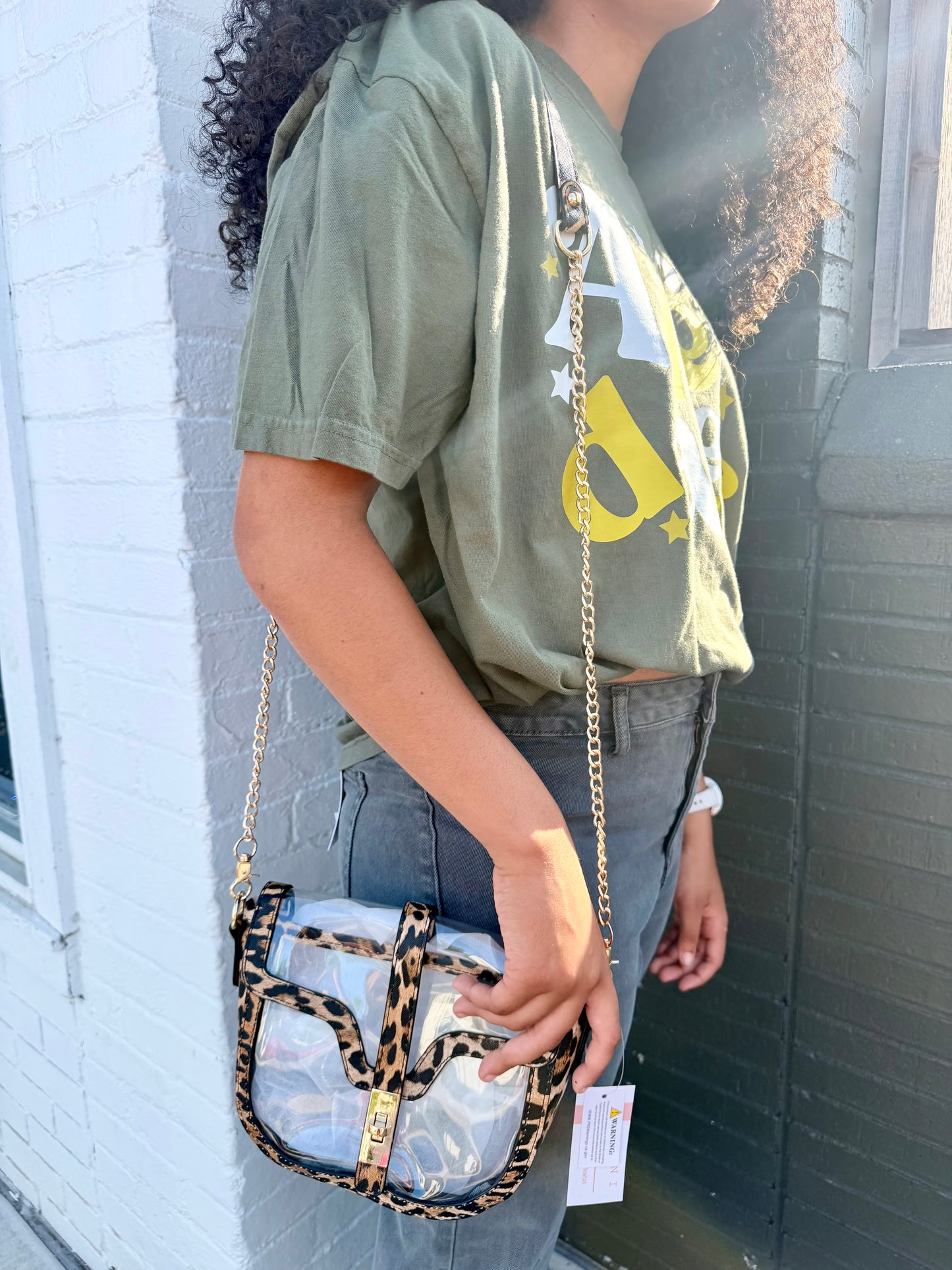 Clear Stadium Purse (Multiple Colors)