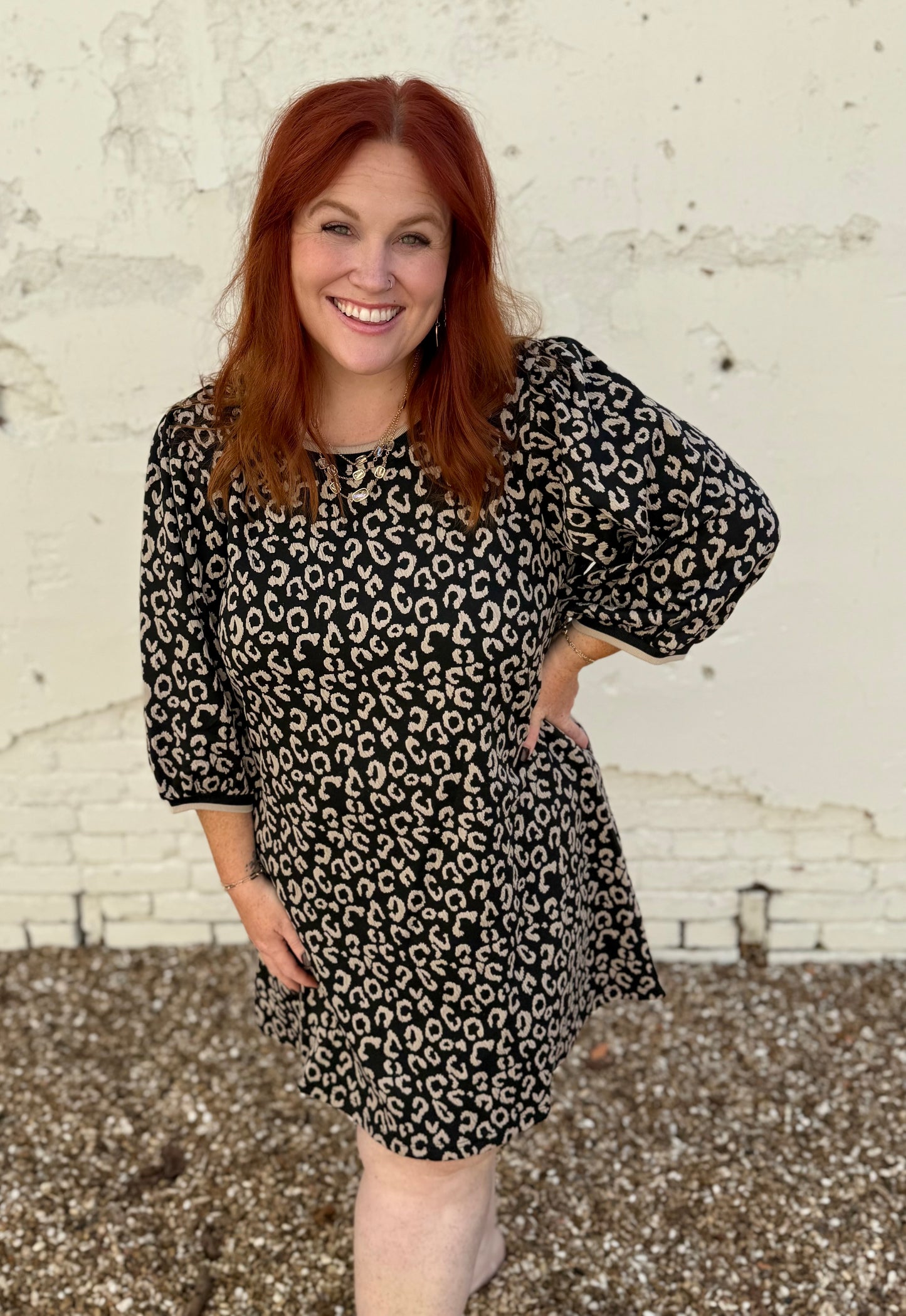 Tamara Animal Print Dress